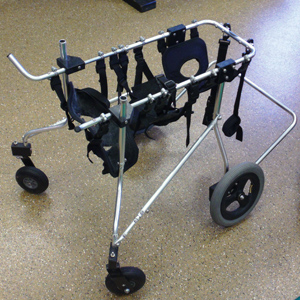 Canine Rehab Center | Mobility Aides