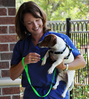 Canine Rehab Center | Dr Brode